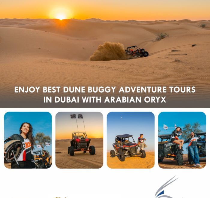 arabian oryx travel and tourism llc